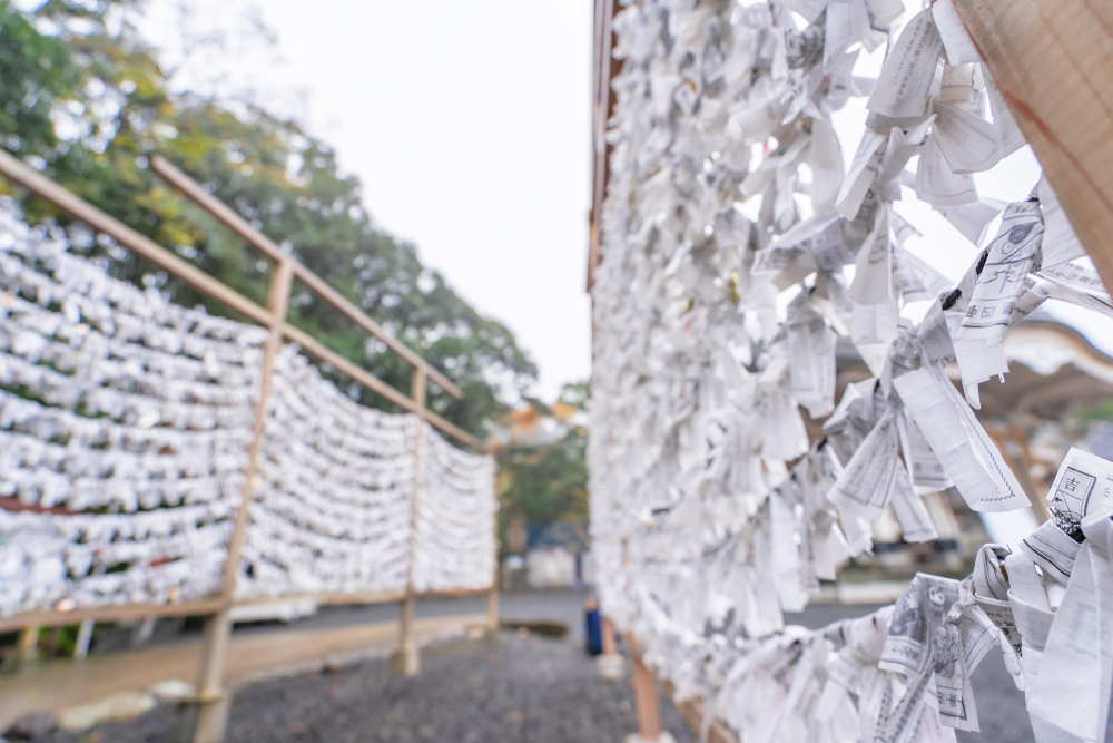 Rows of omikuji fortunes
