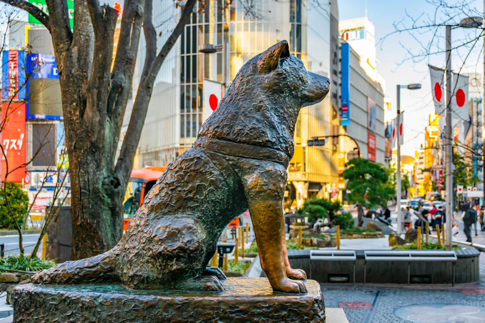 hachiko statue in shibuya