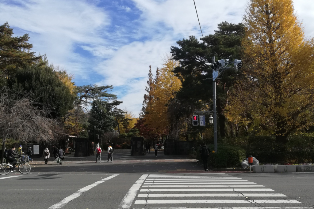 ถนนหน้ามหาวิทยาลัยฮิโตสึบาชิ