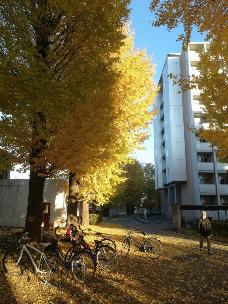 หอพักนักศึกษา มหาวิทยาลัยฮิโตสึบาชิ