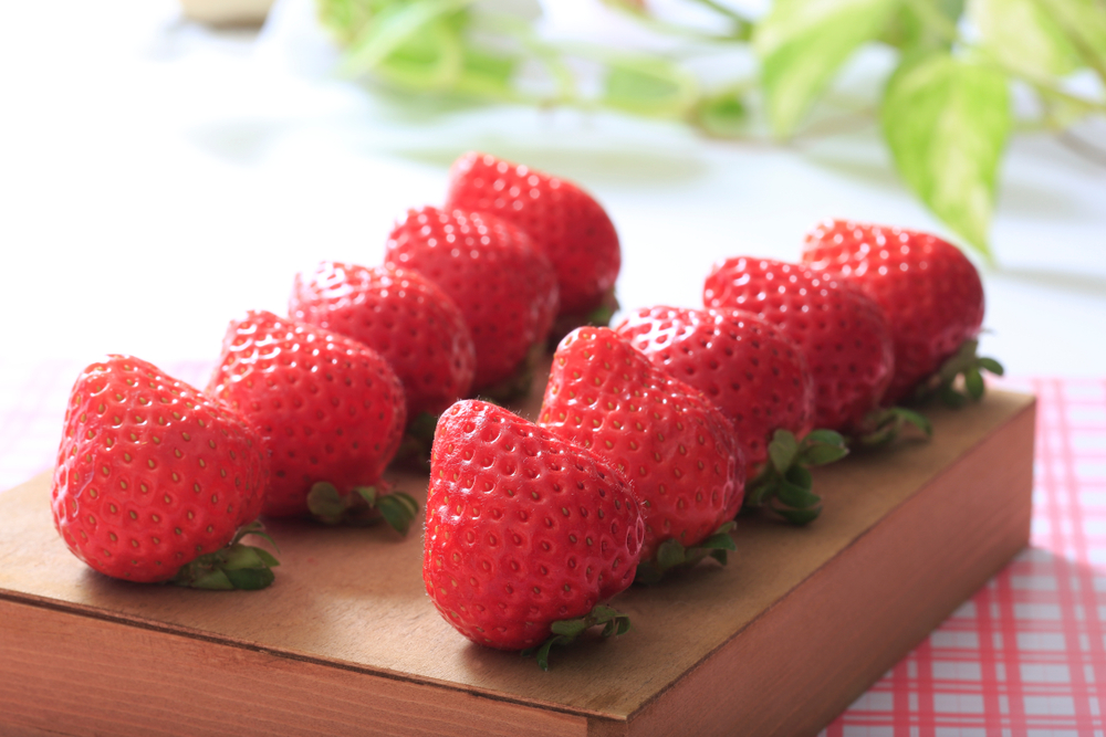 Fukuoka amaou strawberries