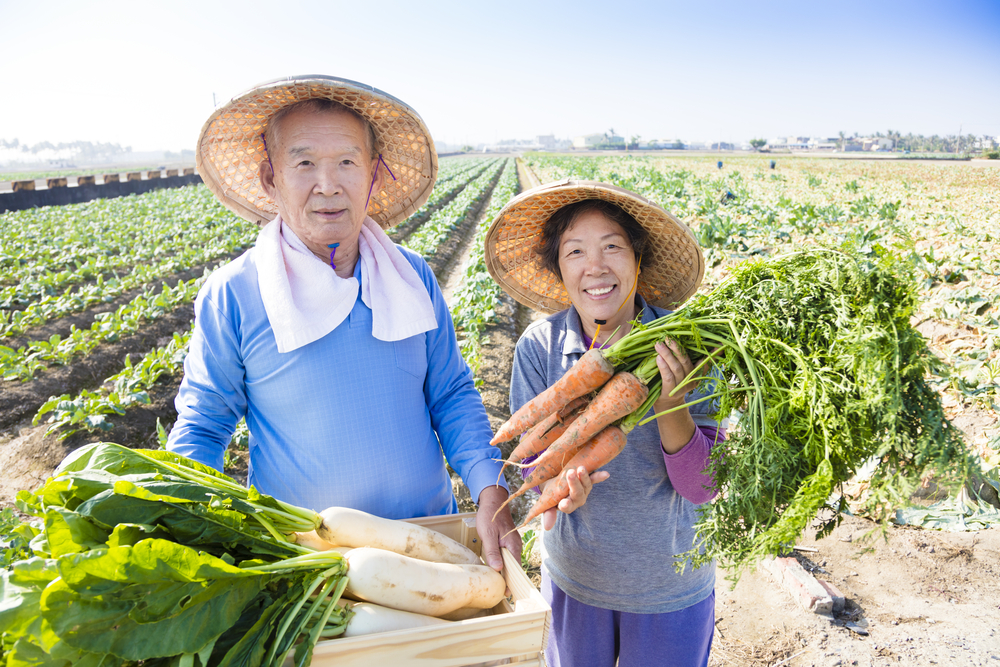 farming couple holding carrots and turnips