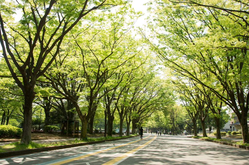 best jogging spots in Tokyo komazawa park 