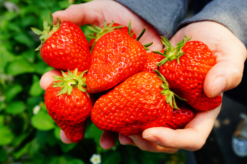 Japanese strawberries