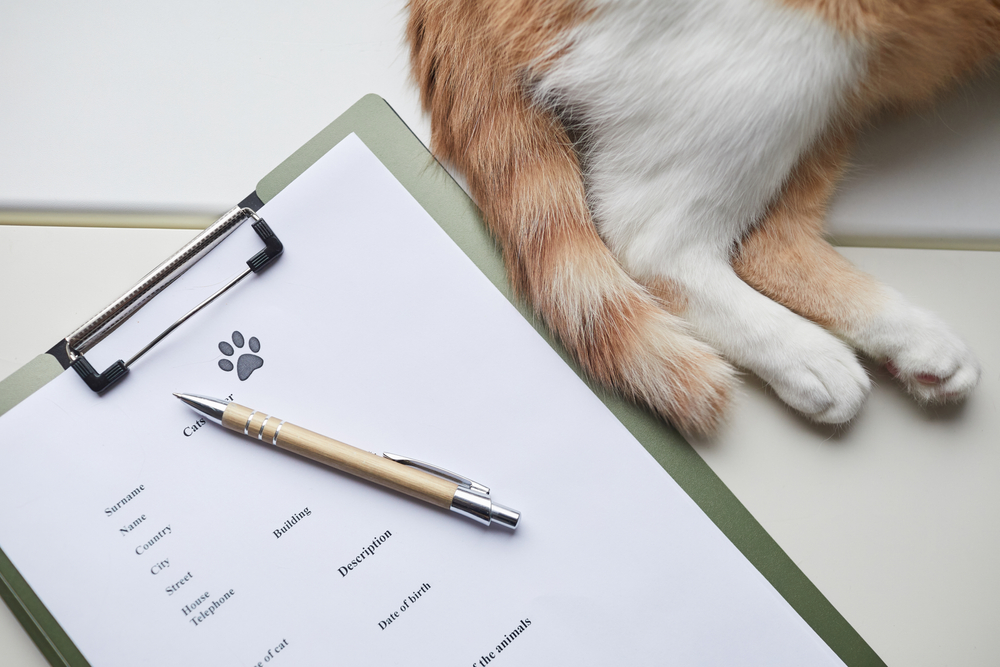 bring your pet in japan certicificates documents issued by the government