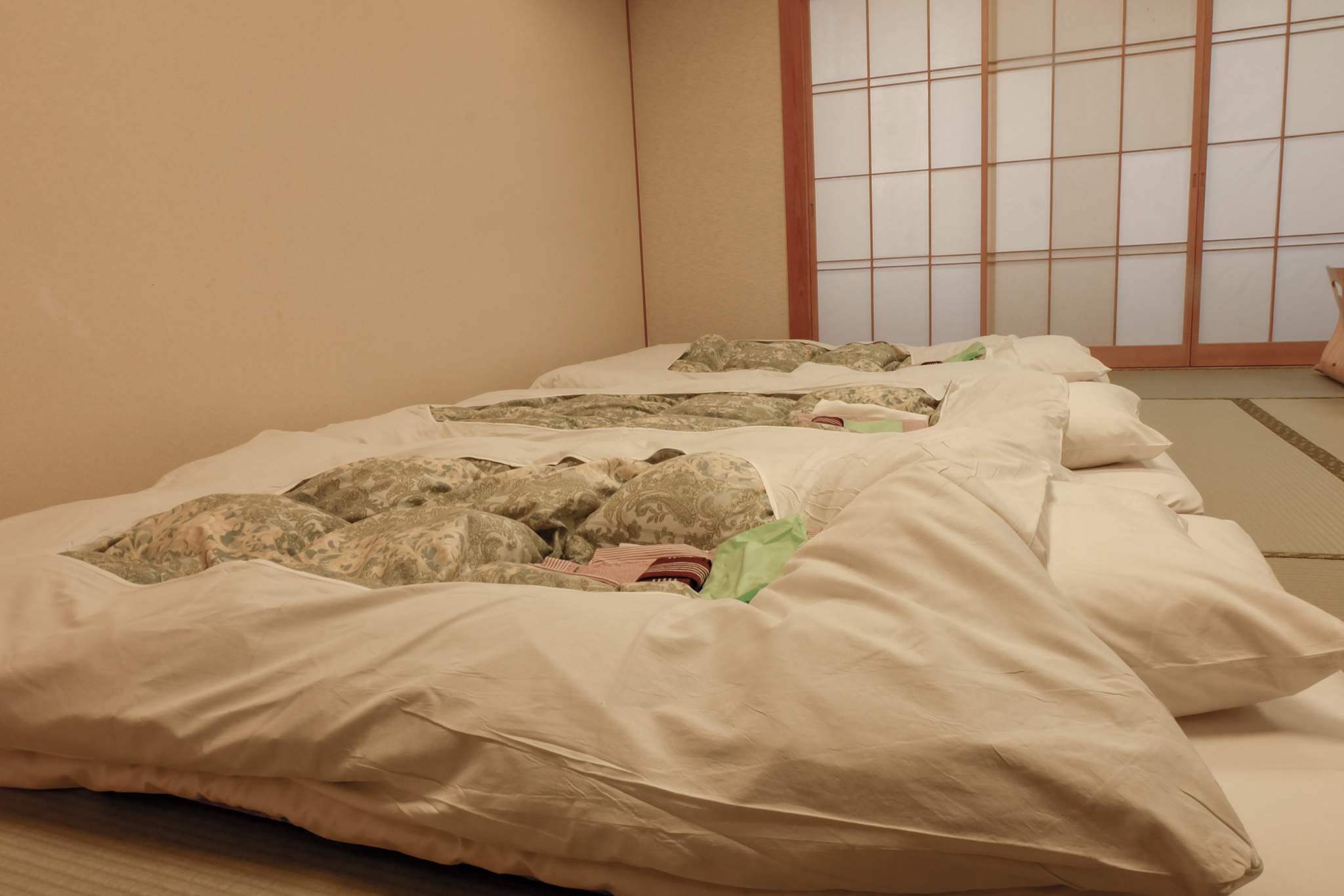 A Complete Guide to Japanese Beds Is a Futon or Frame Better for You