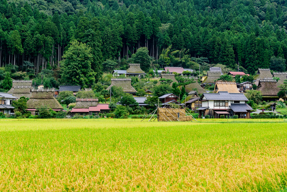 Why You Should Live and Work in Rural Japan - tsunagu Local