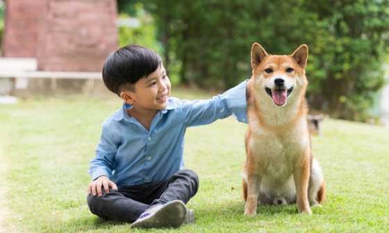 nuôi thú cưng tại Nhật